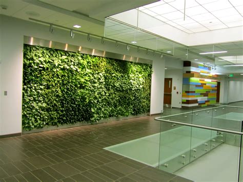 Living Green Wall To Be Installed Morning Ag Clips Green Interior