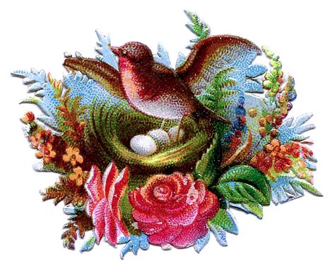 Victorian Clip Art Scrap Birds With Nests And Flowers The Graphics Fairy