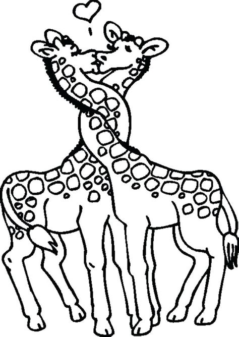 Coloring Pages For Adults Giraffe At Free Printable