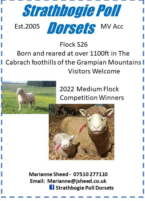 Dorset Breeders Directory Dorset Horn And Poll Dorset Sheep Breeders