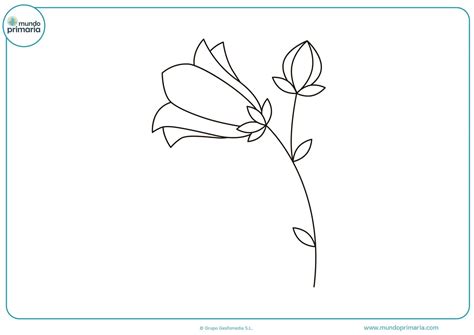 Dibujos de Flores para Colorear 【Bonitas y Fáciles de Pintar】