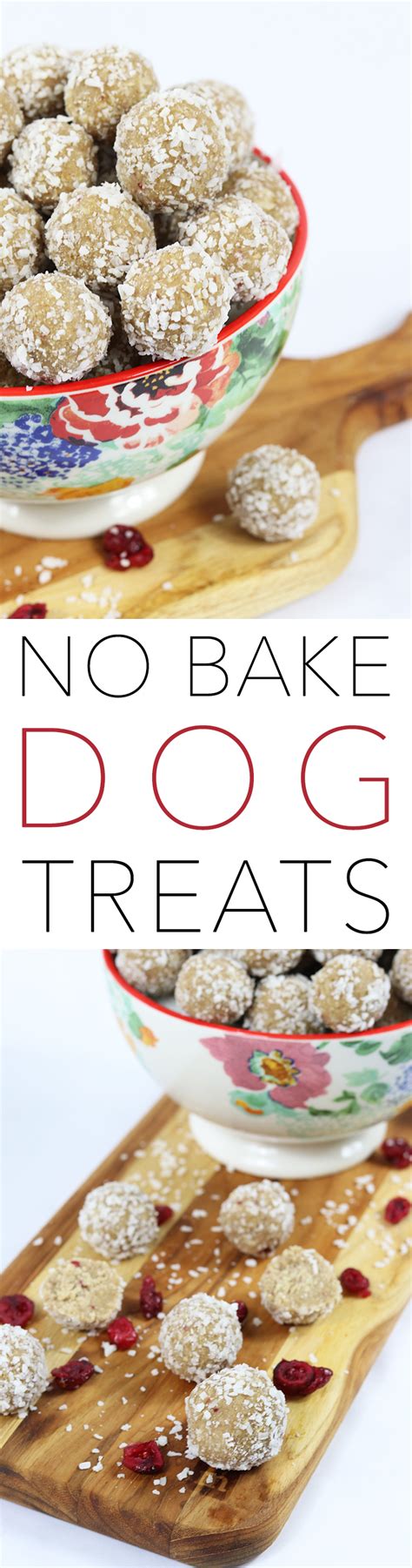 Quick And Easy No Bake Dog Treats The Cottage Market