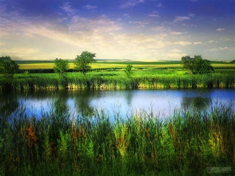 Wallpaper Trees Landscape Lake Water Nature Reflection Sky