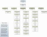 Photos of Software Development Company Organizational Chart