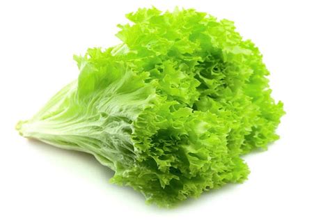 Последние твиты от tips sehat awet muda (@tipssehatmuda). Tips Awet Muda dengan Daun Selada | Selada