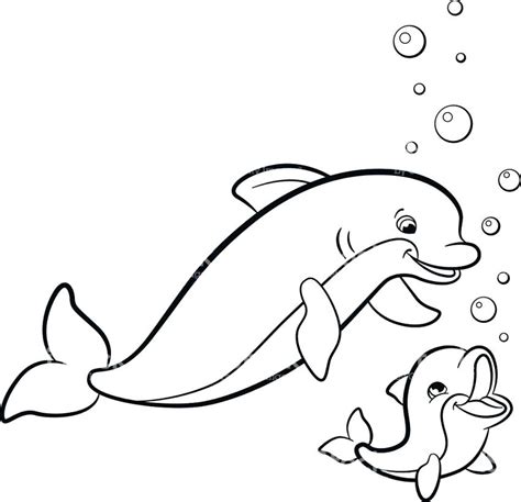 Cute Dolphin Drawing Free Download On Clipartmag