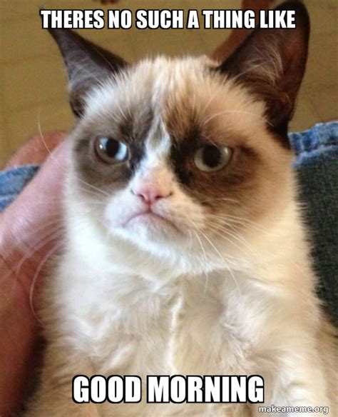 Theres No Such A Thing Like Good Morning Grumpy Cat Make A Meme