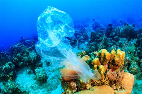 Could Plastic Pollution Prove To Be The Last Straw For