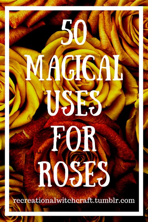 50 Magical Uses For Roses You Can Use Roses In Things Around Things
