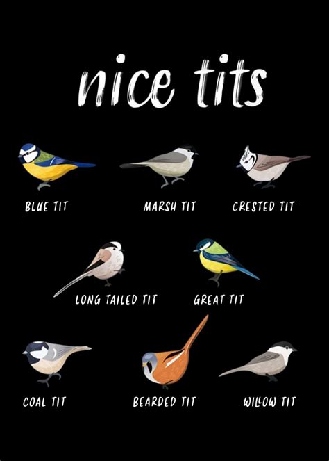 Nice Tits Poster By Sigit Nur Cahyo Displate