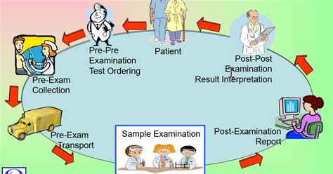 Making Medical Lab Quality Relevant Revising The Laboratory Path Of