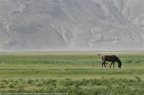 Horse Grazing In The Wakhan Corridor Afghanistan Secret Compass