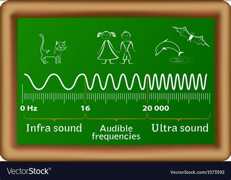The Sound Waves Diagram Royalty Free Vector Image