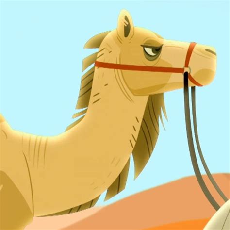 Dromedary Camel | Wild Kratts