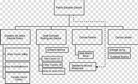 Medellin Cartel Organizational Chart