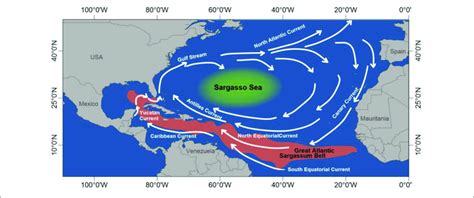 Major Currents In The North Atlantic The Sargasso Sea And The Great