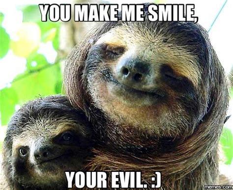 Trending images and videos related to sloth! Sloth Meme.:) | Smiling animals, Three toed sloth, Cute ...