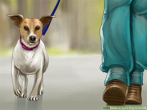 Keep track of when your dog ingested the substance. How to Get a Dog to Vomit: 15 Steps (with Pictures) - wikiHow