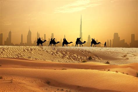 Camel Caravan On Sand Dunes On Arabian Dessert With Dubai Skyline At