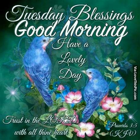 Hello friends, today we are going to share with you in this blog post the best collection of good morning tuesday let's see some amazing good morning tuesday images. Tuesday Blessings, Good Morning Pictures, Photos, and ...