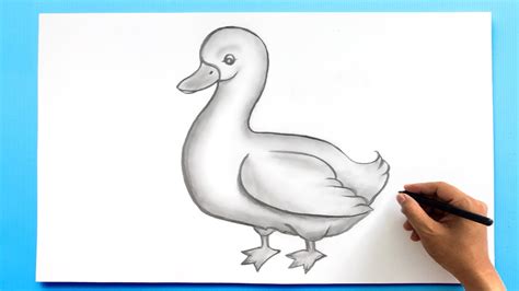 Duck Drawing 🦆 How To Draw A Duck Youtube