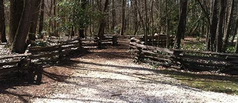 Maybe you would like to learn more about one of these? Trails and Greenways | Spartanburg County Parks & Rec, SC