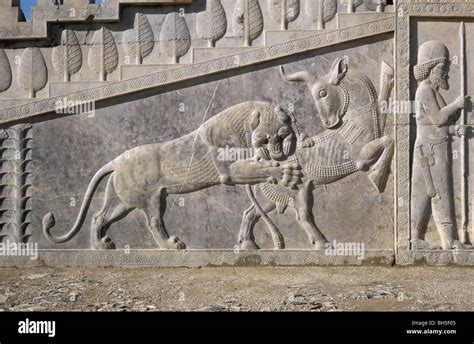 Persepolis Lion And Bull Hi Res Stock Photography And Images Alamy