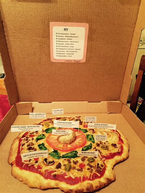 Click on each picture to move on to the next stage of your journey. Animal Cell Pizza | Cell model project, Animal cell, Cells ...