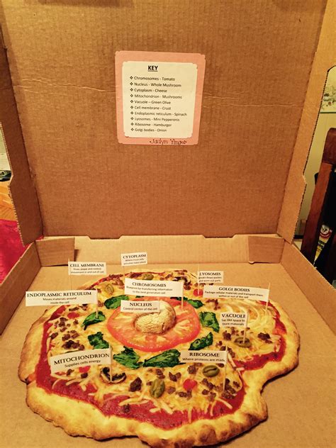 We did not find results for: Animal Cell Pizza | Cell model project, Animal cell, Cells ...