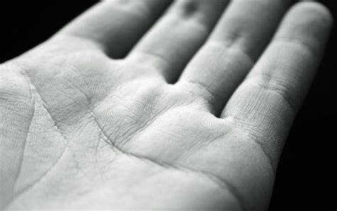 Come leggere il palmo della mano - Bigodino