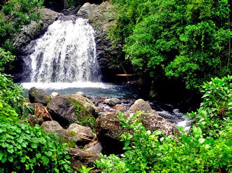 We did not find results for: Tourist Attractions in Jamaica | Most beautiful places in ...