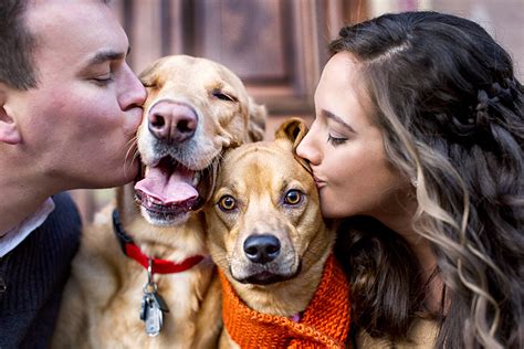 Why Engagement Shoots Have Gone To The Dogs Huffpost