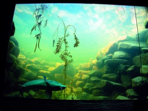 Maybe you would like to learn more about one of these? Naturagart - The NaturaGart Filtration System