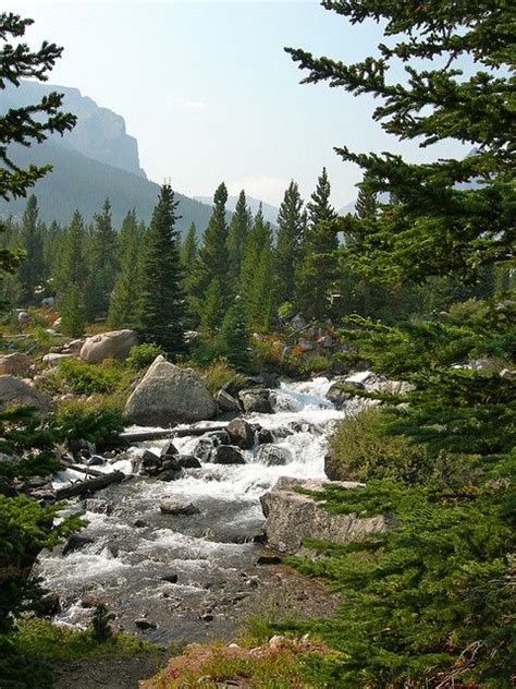 Maybe you would like to learn more about one of these? Pin on MONTANA I would love to live there
