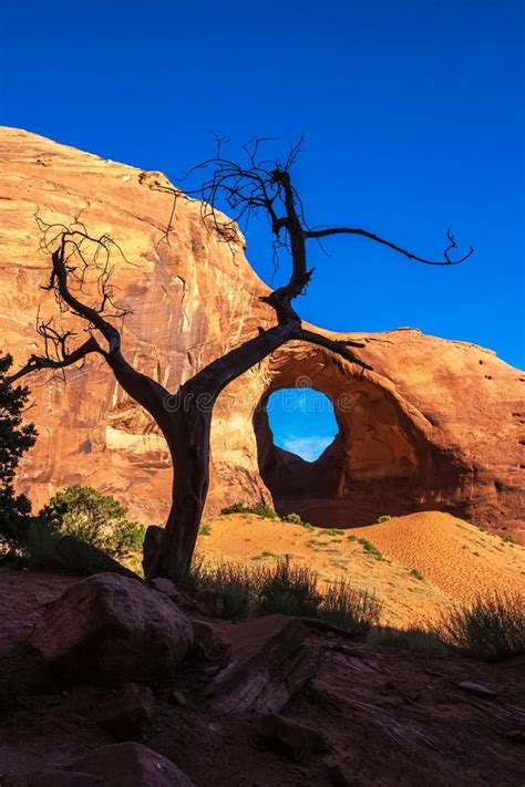 Ear Of The Wind Arch With A Dead Juniper Tree In The Foreground