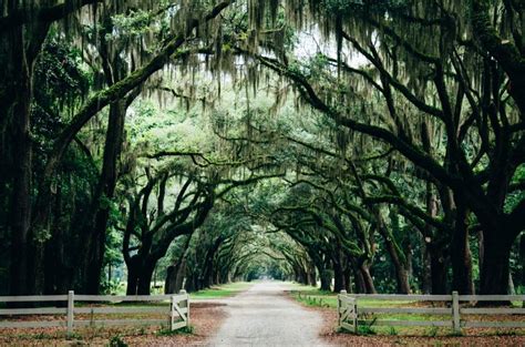 The perfect long weekend in Savannah - Samantha Brown's Places to Love