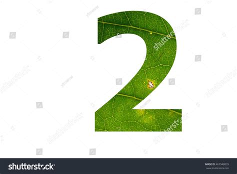 Number 2 Green Leaf Surface Texture Stock Photo 467948039 Shutterstock