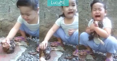 Video Anak Kecil Menangis Meratapi Ayamnya Yang Mati Ini Viral Di Media