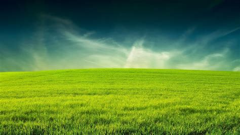 Green Grass Field Wallpapers Wallpaper Cave