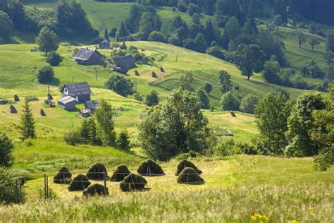 Village Houses On Hills With Green Meadows In Summer Day Stock Image