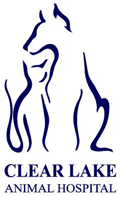 Palm Beach Veterinarian - Clear Lake Animal Hospital - Vet Clinic