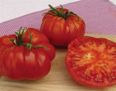 Grow Giant Tomato Seeds The Garden Of Eaden