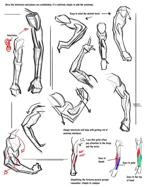 50 Grey Folder Of Drawing Tips And Tricks Figure Drawing Tutorial