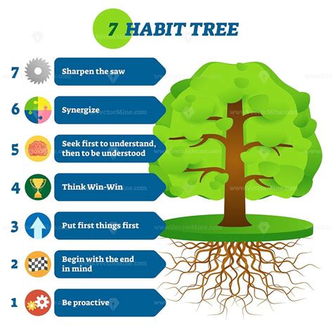 7 Habit Tree Success Mindset Stages Vector Illustration Vectormine