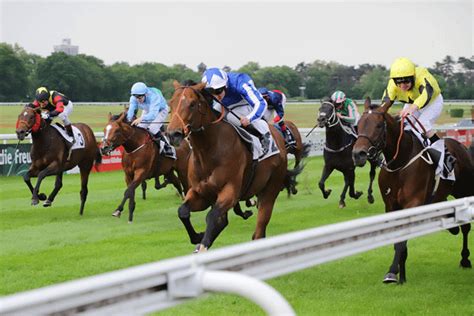 He began apprenticeship to irish horse trainer seamus mcgrath when he was 14. Köln-Galopp: Star-Jockey siegt auf Fox Champion - Köln ...