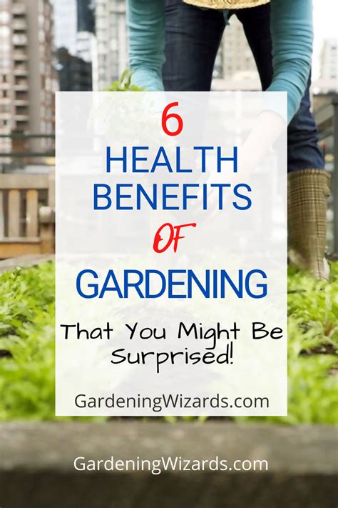 6 Health Benefits Of Gardening That You Might Be Surprised Benefits
