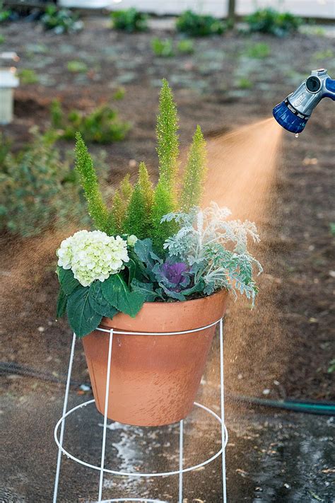 We did not find results for: How to Turn a Tomato Cage Into a Plant Stand | HGTV
