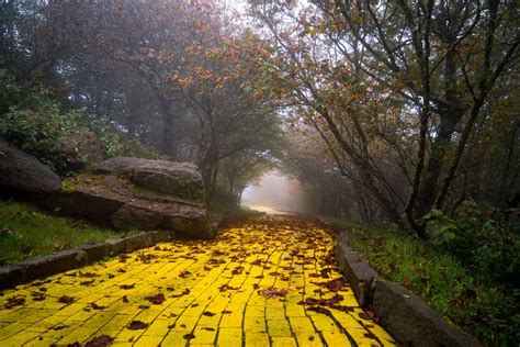 Abandoned Wizard Of Oz Theme Park Is Reopening This Summer Wizard