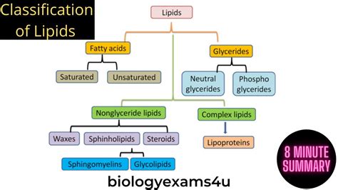 Lipids And Their Classification Lipids Biochemistry Part 1 Youtube