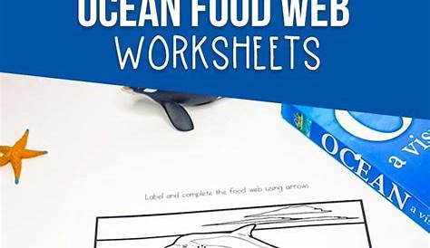marine food web worksheets answers